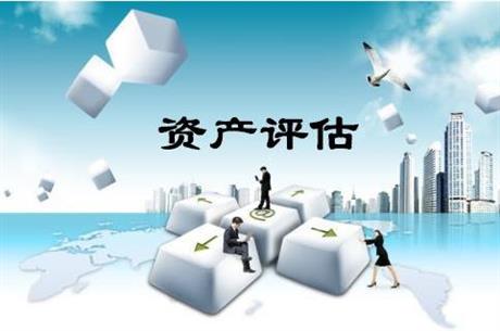 企业合并与收购清算及拍卖评估