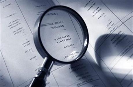 经济担保能力评价评估